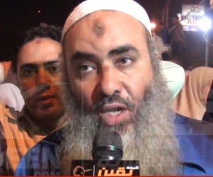 Pro-Mursi Hackfresse